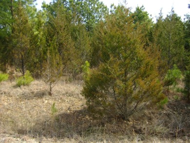 Great golf course lots at an affordable price. These lots are on on The Course At Turkey Mountain in Arkansas - for sale on GolfHomes.com, golf home, golf lot