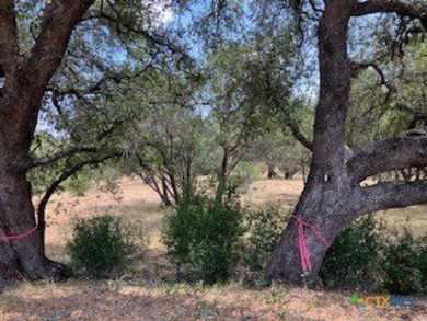 Discover the enchanting opportunity at TBD Pinkerton Loop, an on Horseshoe Bay Private Golf Course in Texas - for sale on GolfHomes.com, golf home, golf lot