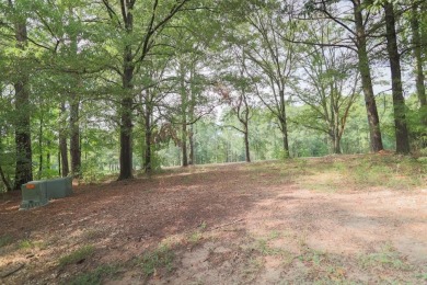 The perfect property to build your dream home! This flat lot is on Great Waters Course At Reynolds Plantation in Georgia - for sale on GolfHomes.com, golf home, golf lot