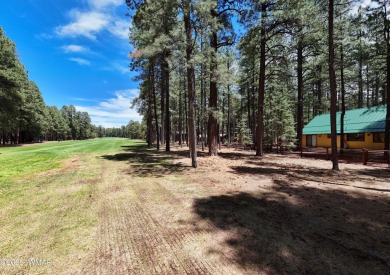LOCATION ! Prime Pinetop Country Club Cabin Retreat! Discover a on Pinetop Lakes Country Club in Arizona - for sale on GolfHomes.com, golf home, golf lot