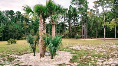 Price Change! Cool crisp mornings, look beautiful in these new on Harbour Point Golf Club in North Carolina - for sale on GolfHomes.com, golf home, golf lot