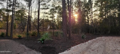 Price Change! Cool crisp mornings, look beautiful in these new on Harbour Point Golf Club in North Carolina - for sale on GolfHomes.com, golf home, golf lot
