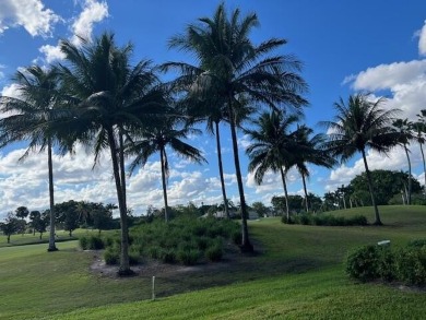 Beautifully Updated 2-Bed, 2-Bath Condo with Golf Course Views on  in Florida - for sale on GolfHomes.com, golf home, golf lot