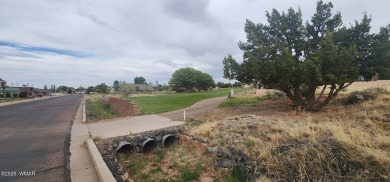 Live where you play - or simply live in a sweet community of on Snowflake Municipal Golf Course in Arizona - for sale on GolfHomes.com, golf home, golf lot