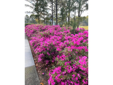Welcome to Lot 62 in Bayside Village! Measuring over 105 feet on Bay Creek Golf Club in Virginia - for sale on GolfHomes.com, golf home, golf lot