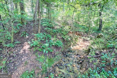 Looking for an affordable getaway? Check out this unique on Mountain Harbour Golf Club in North Carolina - for sale on GolfHomes.com, golf home, golf lot