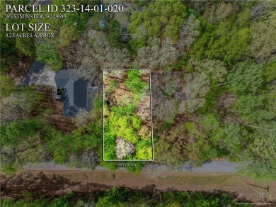 Excellent building lot complete with a covered slip-on Lake on The Trail At Chickasaw Pointe in South Carolina - for sale on GolfHomes.com, golf home, golf lot