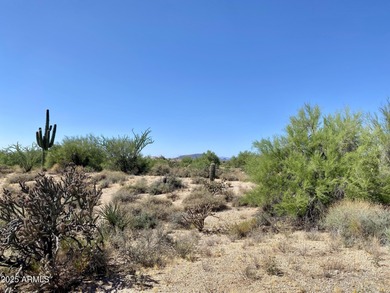 Elevated homesite in Desert Mountain's Village of Gambel Quail on Desert Mountain Golf Club - Renegade Course in Arizona - for sale on GolfHomes.com, golf home, golf lot