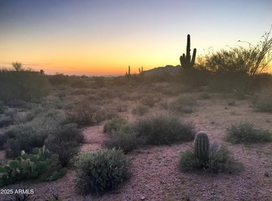 Elevated homesite in Desert Mountain's Village of Gambel Quail on Desert Mountain Golf Club - Renegade Course in Arizona - for sale on GolfHomes.com, golf home, golf lot