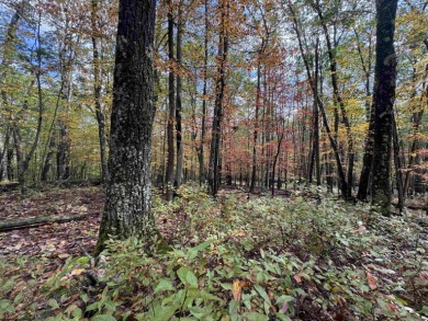 Your Future Cabin or Forever Home Starts Here!  Escape to the on Alpine Lake Resort in West Virginia - for sale on GolfHomes.com, golf home, golf lot