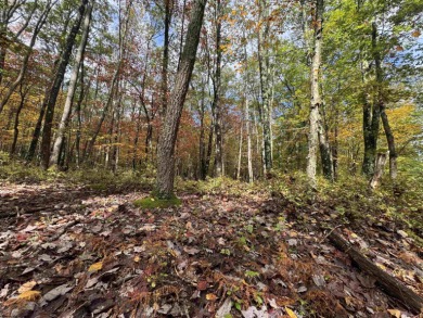 Your Future Cabin or Forever Home Starts Here!  Escape to the on Alpine Lake Resort in West Virginia - for sale on GolfHomes.com, golf home, golf lot