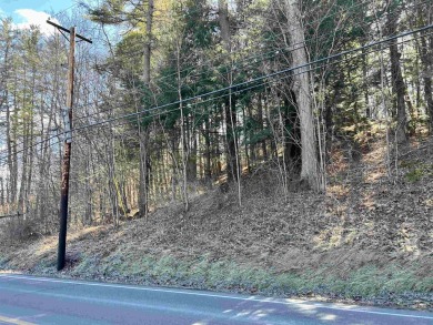 Lovely residential neighborhood with easy access to I91. These on John P. Larkin Country Club, Inc. in Vermont - for sale on GolfHomes.com, golf home, golf lot