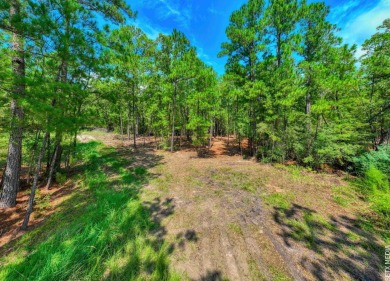WATER ACCESS! Beautiful 1/2 acre lot in Rayburn Country! on Rayburn Country Club in Texas - for sale on GolfHomes.com, golf home, golf lot
