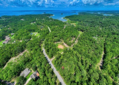 WATER ACCESS! Beautiful 1/2 acre lot in Rayburn Country! on Rayburn Country Club in Texas - for sale on GolfHomes.com, golf home, golf lot