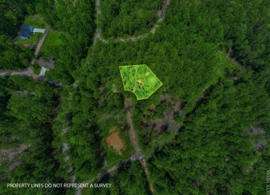 WATER ACCESS! Beautiful 1/2 acre lot in Rayburn Country! on Rayburn Country Club in Texas - for sale on GolfHomes.com, golf home, golf lot