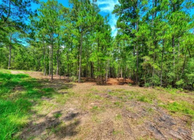 WATER ACCESS! Beautiful 1/2 acre lot in Rayburn Country! on Rayburn Country Club in Texas - for sale on GolfHomes.com, golf home, golf lot