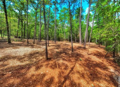 WATER ACCESS! Beautiful 1/2 acre lot in Rayburn Country! on Rayburn Country Club in Texas - for sale on GolfHomes.com, golf home, golf lot