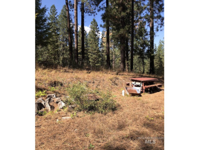 Charming 1.11-Acre Lot in popular Castle Mountain Creeks - on Terrace Lakes Golf Resort in Idaho - for sale on GolfHomes.com, golf home, golf lot