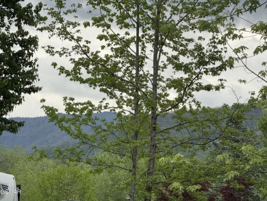 AMAZING!!!!  This corner lot has it ALL!  From the patio, you on Bent Creek Golf Course in Tennessee - for sale on GolfHomes.com, golf home, golf lot