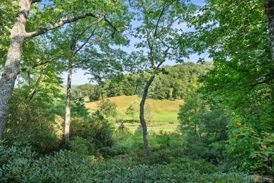 Nestled in the esteemed Wade Hampton Golf Club, this home offers on Headwaters Golf Club in North Carolina - for sale on GolfHomes.com, golf home, golf lot