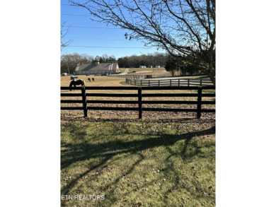 Come build your dream home on this beautiful lake view lot in on Rarity Bay Country Club - Loudon in Tennessee - for sale on GolfHomes.com, golf home, golf lot