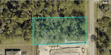Ask about SELLER FINANCING options. Build your dream home on on Lehigh Resort Club in Florida - for sale on GolfHomes.com, golf home, golf lot