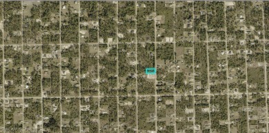 Ask about SELLER FINANCING options. Build your dream home on on Lehigh Resort Club in Florida - for sale on GolfHomes.com, golf home, golf lot