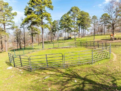 Don't miss this opportunity!! MOUNTAIN TOP HOME!  Ranch style on Diamondhead Golf and Country Club in Arkansas - for sale on GolfHomes.com, golf home, golf lot