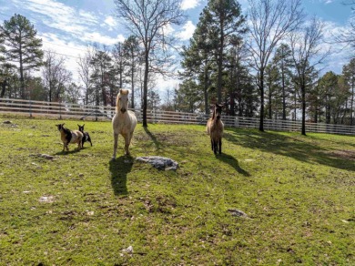 Don't miss this opportunity!! MOUNTAIN TOP HOME!  Ranch style on Diamondhead Golf and Country Club in Arkansas - for sale on GolfHomes.com, golf home, golf lot
