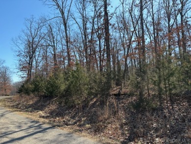 Great Building Lot in Champions Run.  Wooded Lot and close to on The Club At Porto Cima in Missouri - for sale on GolfHomes.com, golf home, golf lot