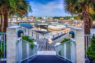 Exceptional home with ICF Construction (Insulated Concrete on Members Club At St. James Plantation in North Carolina - for sale on GolfHomes.com, golf home, golf lot