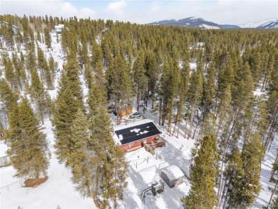 Discovering affordable land in Leadville is often a challenge on Mt. Massive Golf Club in Colorado - for sale on GolfHomes.com, golf home, golf lot