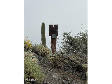 One of the premier remaining lots in private Guard-Gated on Desert Mountain Golf Club - Renegade Course in Arizona - for sale on GolfHomes.com, golf home, golf lot