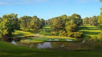 Uncover a hidden gem in Nocona Hills, where luxury meets nature! on Nocona Hills Golf Course in Texas - for sale on GolfHomes.com, golf home, golf lot