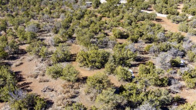 Superb Paa-ko lot located near the end of a quiet street on Paa-Ko Ridge Golf Club  in New Mexico - for sale on GolfHomes.com, golf home, golf lot