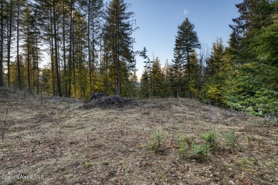 Discover the perfect North Idaho homesite on this 0.53-acre on The Idaho Club in Idaho - for sale on GolfHomes.com, golf home, golf lot
