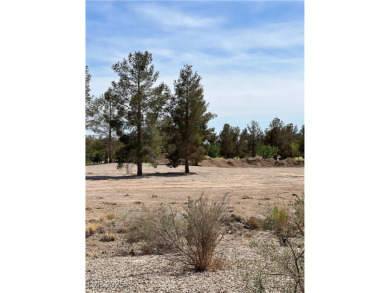 BEAUTIFUL 1-STORY HOME IN SUN CITY ALIANTE. 55+ Cummunity. 2 on Aliante Golf Club in Nevada - for sale on GolfHomes.com, golf home, golf lot