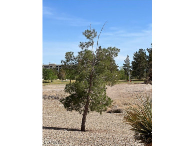BEAUTIFUL 1-STORY HOME IN SUN CITY ALIANTE. 55+ Cummunity. 2 on Aliante Golf Club in Nevada - for sale on GolfHomes.com, golf home, golf lot