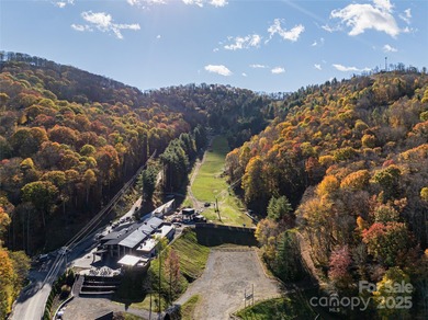 Discover Your Mountain Retreat in Wolf Laurel! Escape to the on Wolf Laurel Country Club in North Carolina - for sale on GolfHomes.com, golf home, golf lot
