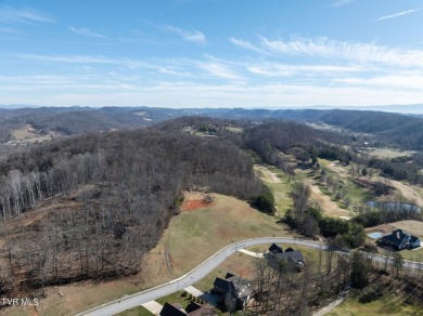 Discover the pinnacle of luxurious living right off the esteemed on Crocketts Ridge Golf Club in Tennessee - for sale on GolfHomes.com, golf home, golf lot