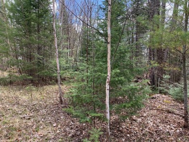 This lot has it all! Acreage, privacy, 149 feet of lake frontage on Tahoe Lynx Golf Course in Wisconsin - for sale on GolfHomes.com, golf home, golf lot