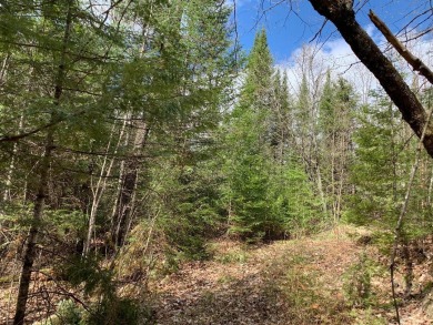 This lot has it all! Acreage, privacy, 149 feet of lake frontage on Tahoe Lynx Golf Course in Wisconsin - for sale on GolfHomes.com, golf home, golf lot