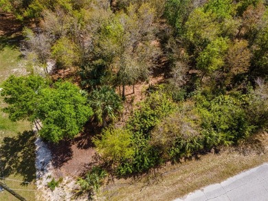 Build your Florida dream home on this 10,000+- sq ft residential on Duffys Golf Center in Florida - for sale on GolfHomes.com, golf home, golf lot