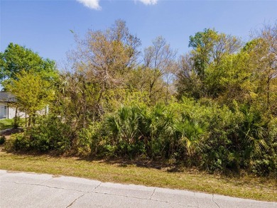 Build your Florida dream home on this 10,000+- sq ft residential on Duffys Golf Center in Florida - for sale on GolfHomes.com, golf home, golf lot