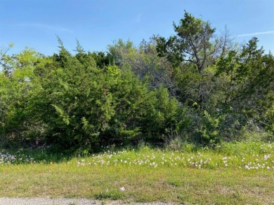 Large 1.38 acre lot to live in the country with 24 X 7 guarded on White Bluff Resort - New Course in Texas - for sale on GolfHomes.com, golf home, golf lot