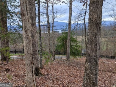 Discover the perfect canvas for your dream home on an ideal 1 on Chatuge Shores Golf Course in North Carolina - for sale on GolfHomes.com, golf home, golf lot