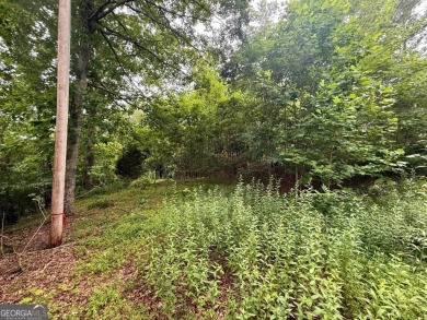 Discover the perfect canvas for your dream home on an ideal 1 on Chatuge Shores Golf Course in North Carolina - for sale on GolfHomes.com, golf home, golf lot