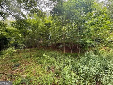 Discover the perfect canvas for your dream home on an ideal 1 on Chatuge Shores Golf Course in North Carolina - for sale on GolfHomes.com, golf home, golf lot