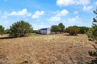 POTENTIAL FOR EXPANSION OR INVESTMENT - Enjoy the space and on Silver Creek Golf Club in Arizona - for sale on GolfHomes.com, golf home, golf lot