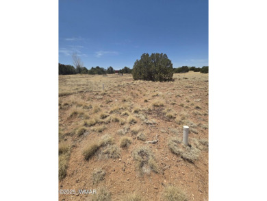 POTENTIAL FOR EXPANSION OR INVESTMENT - Enjoy the space and on Silver Creek Golf Club in Arizona - for sale on GolfHomes.com, golf home, golf lot